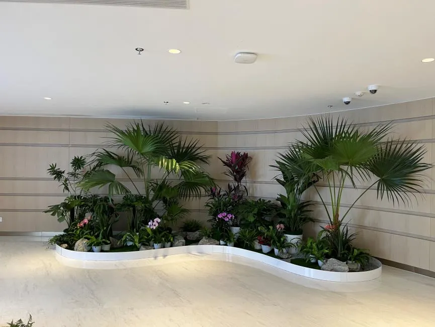 惊了！宁波北仑花卉租摆价格是这样！